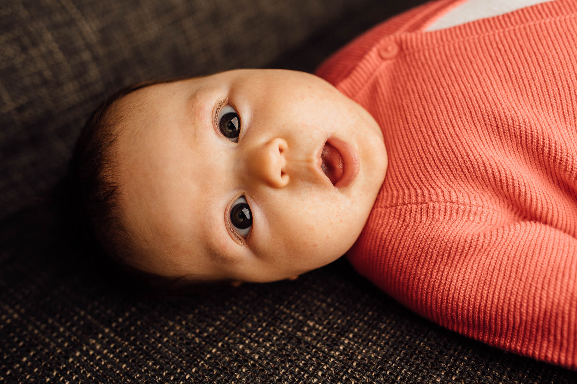 Export x3 5D4 0607 Familyfotoshooting 2020 Rossbach